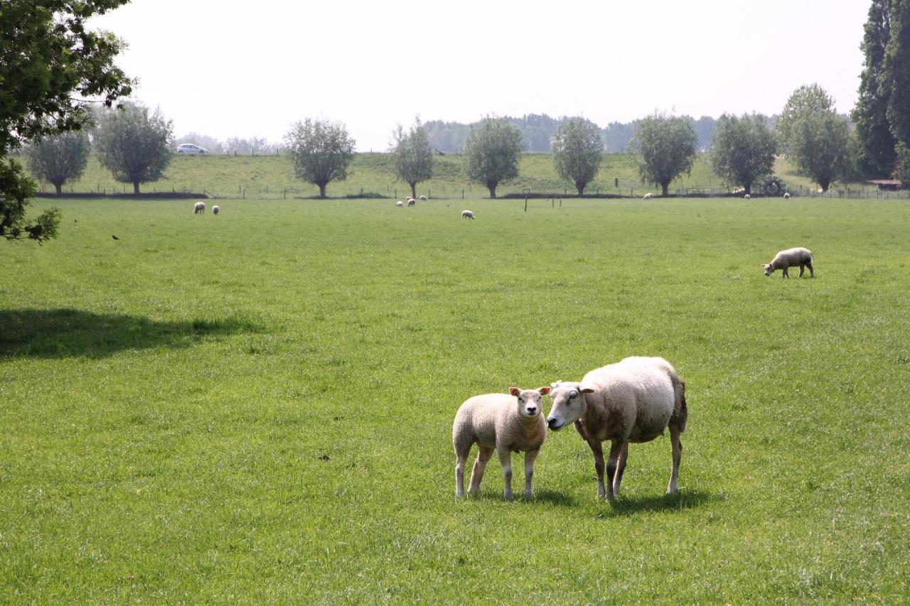 Oosterhout  B&B Buitenwaard المظهر الخارجي الصورة